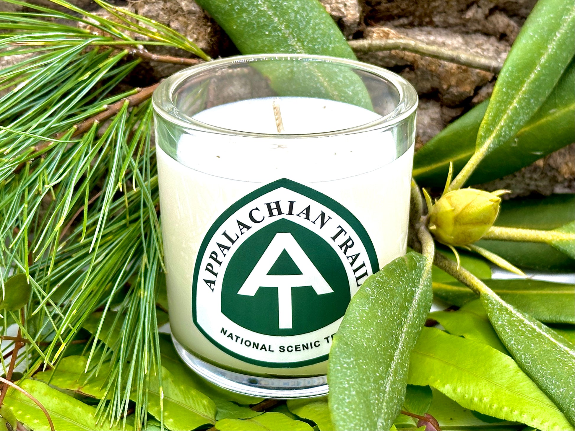 Appalachian Trail Luxury Candle | No. 2190 - The ASHEVILLE Co.™ 