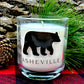 ASHEVILLE | Burton's Stroll | Campfire Luxury Candle - The ASHEVILLE Co.™ 