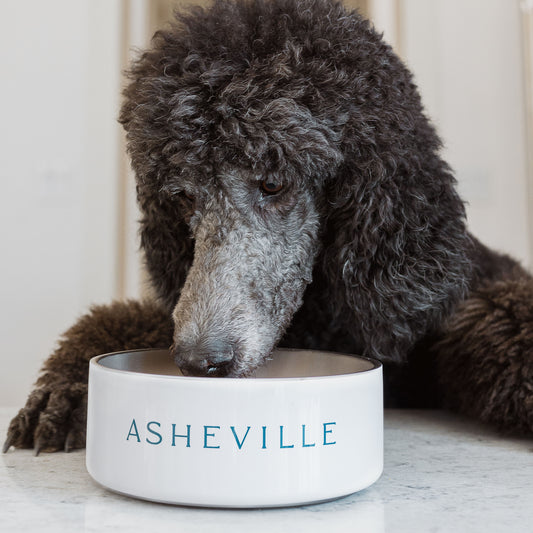 ASHEVILLE Signature | Stainless Steel Water or Dog Food Bowl