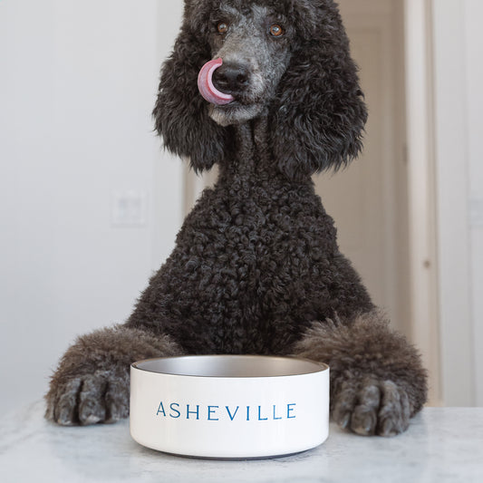 ASHEVILLE Signature | Stainless Steel Water or Dog Food Bowl