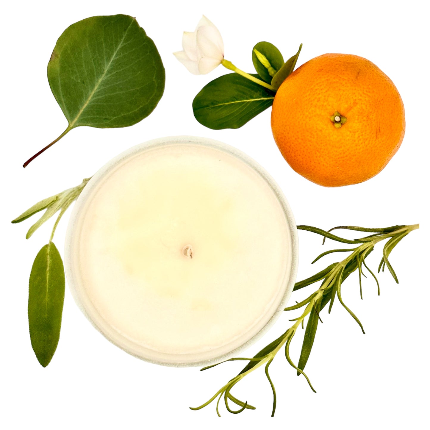 ASHEVILLE Candle with orange blossom rosemary sage herbs