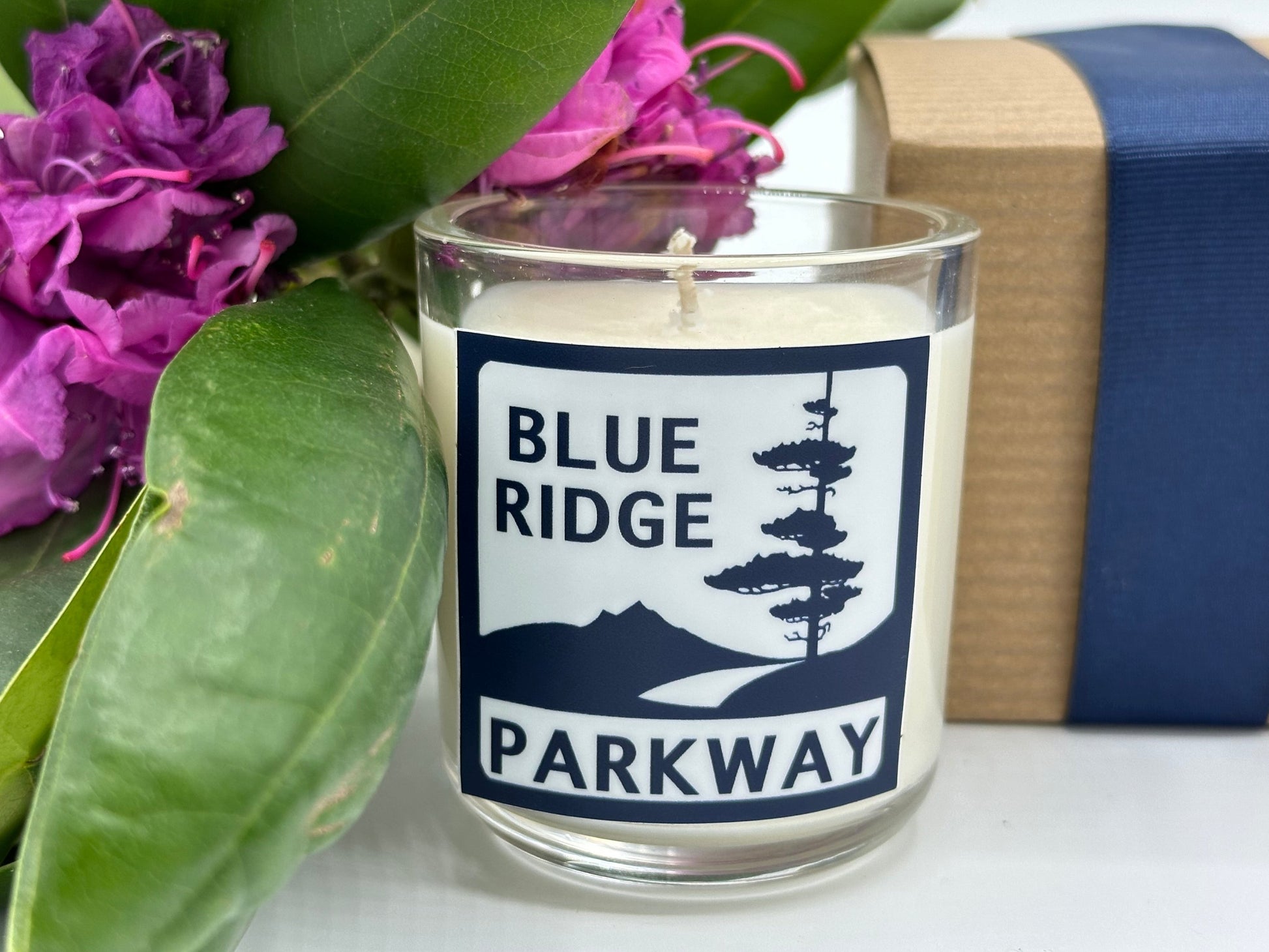 Blue Ridge Parkway Candle | No. 469 - The ASHEVILLE Co.™ 