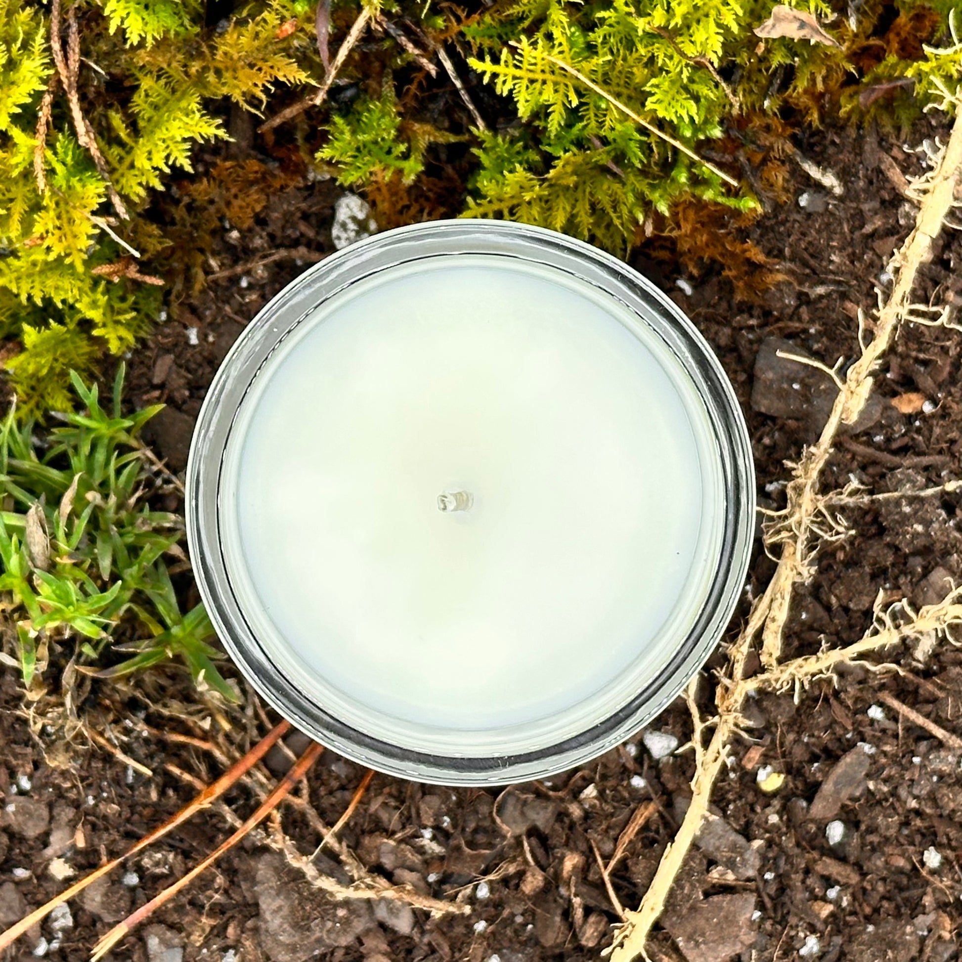 white candle in earthen forest floor dirt and roots setting