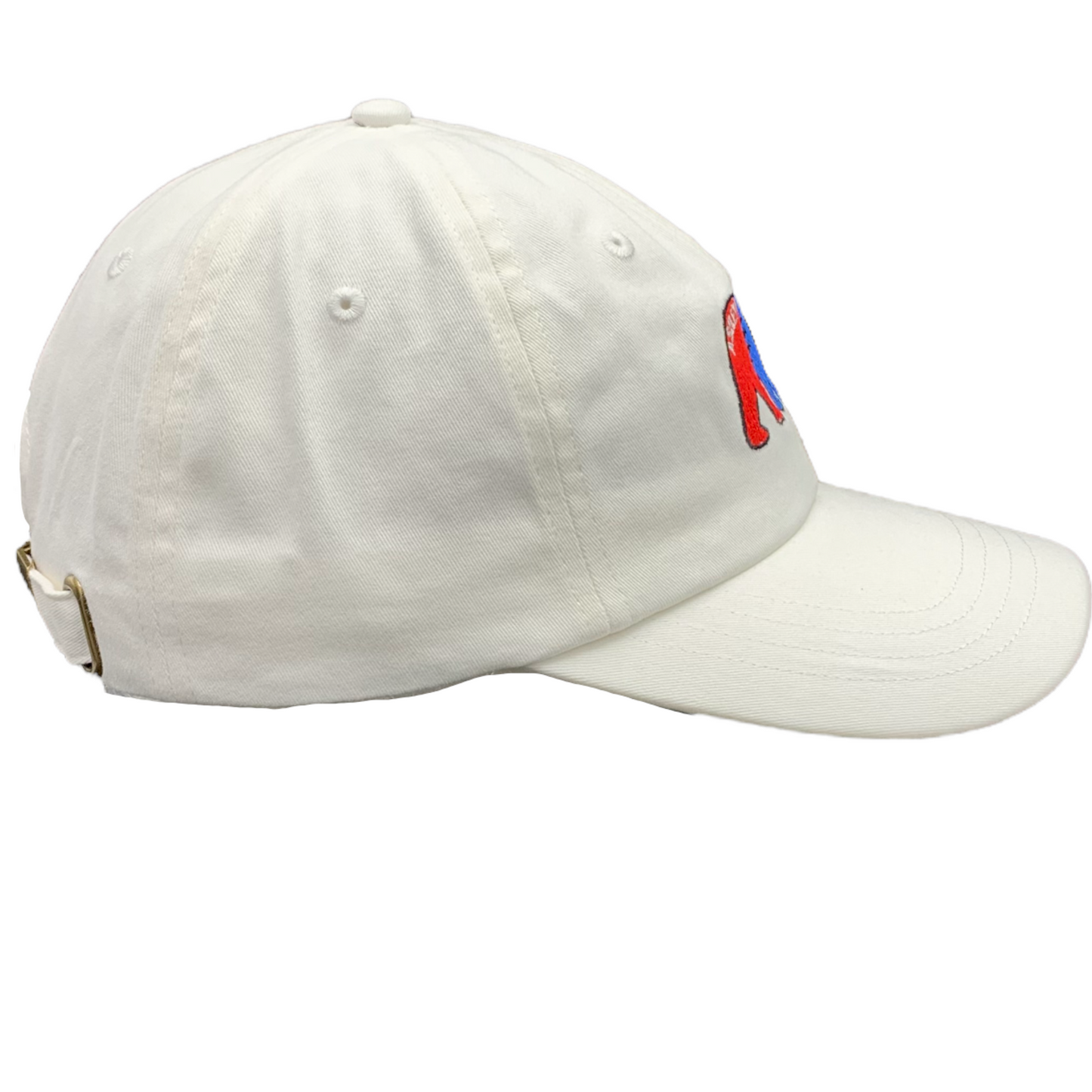 Stanley Bear ASHEVILLE Baseball Hat White - The ASHEVILLE Co. TM