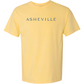 NC Flag Bear T-Shirt Sunshine Yellow - The ASHEVILLE Co. TM